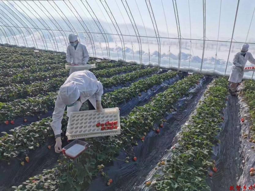 cc06d8aa6e883f2d3817bf6fad76218