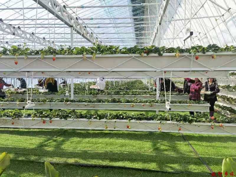 0a9e27e35bf3cc58b8c06f3ccfc3579