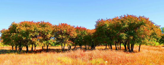 ad72affa819efcd7d1beeb3fdfa1880