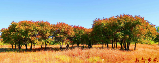 ad72affa819efcd7d1beeb3fdfa1880