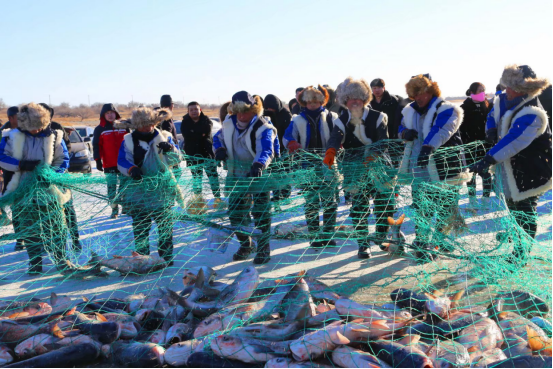 48ae2ef8a21ec542775575e6024206c