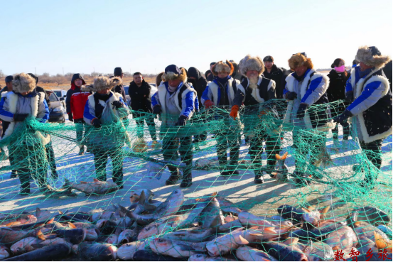 48ae2ef8a21ec542775575e6024206c