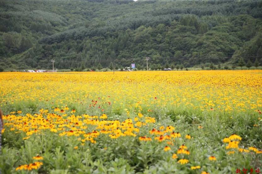 微信图片_20230831130230