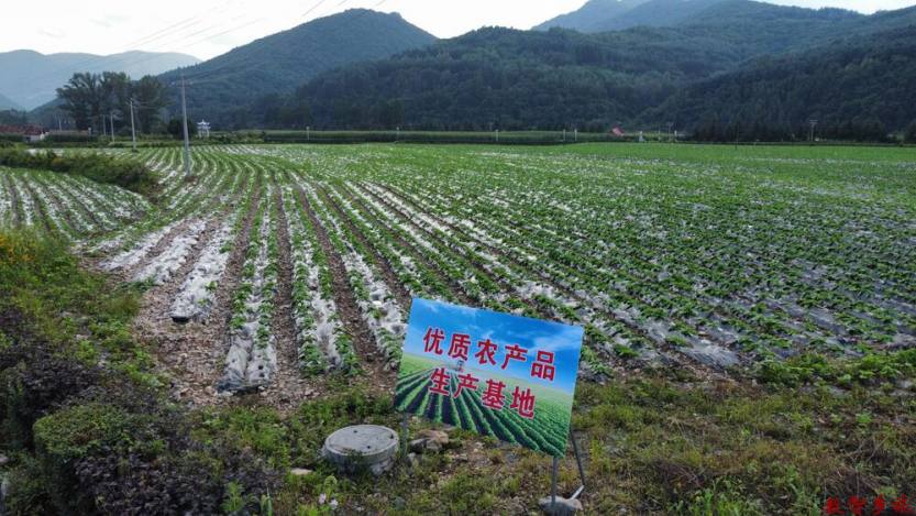 微信图片_20230831130245