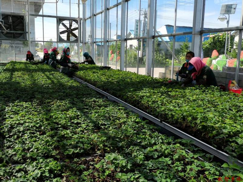 aacf3ff677deb339d0b3085a9a0c574