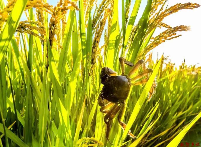 微信图片_20230905181941