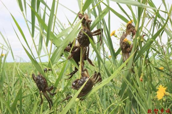 711ea532d002c487ddf195c158de826