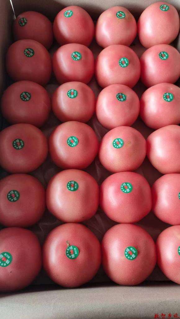 微信图片_20230823184137