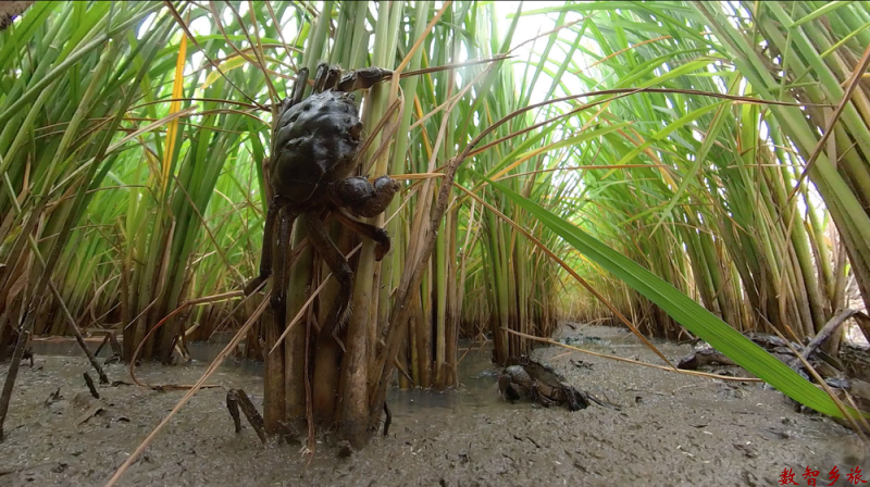 微信图片_20230905182333