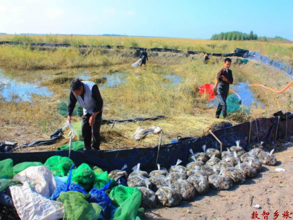 73ba2530ec3c25905649217d6751057