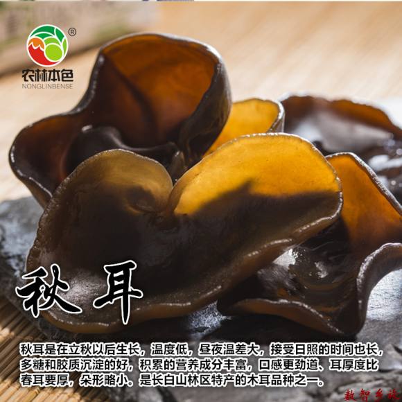 220克秋木耳5_副本