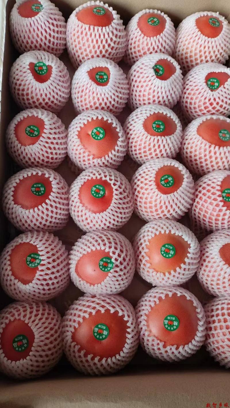 微信图片_20230823184205