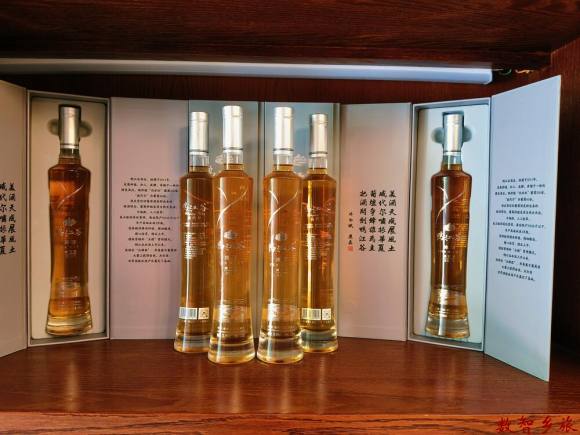 微信图片_20230506140739