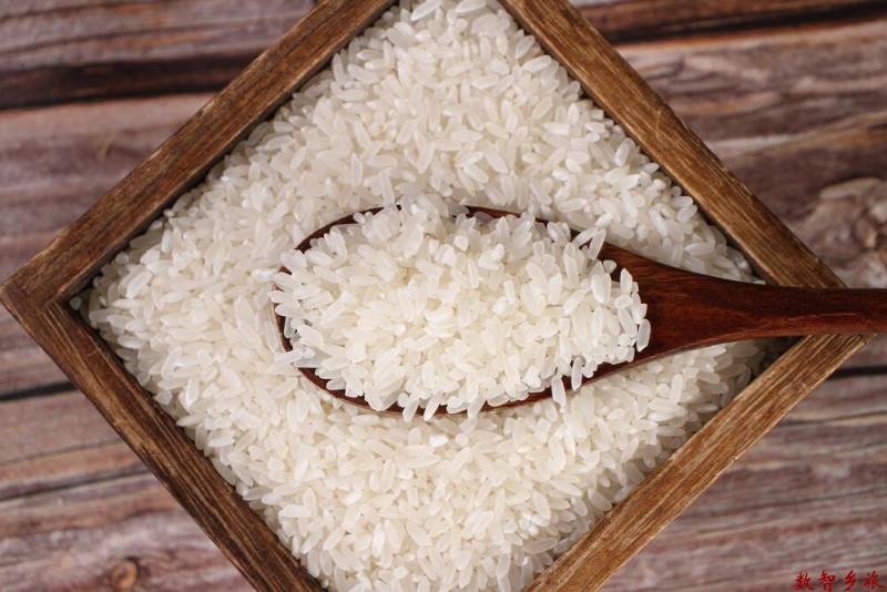 微信图片_20230831164440