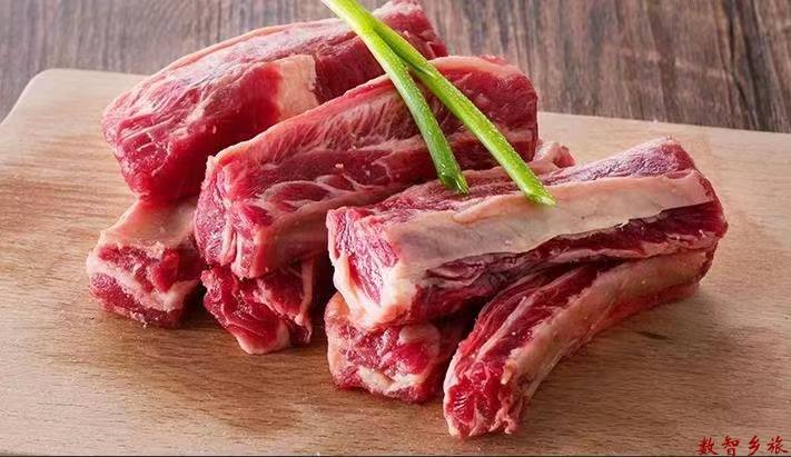 6a392d57444e7fdca5ed3ccf056434fe