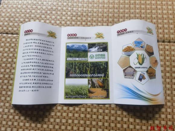 6493125530f2e55d81a39b7e47c74ed