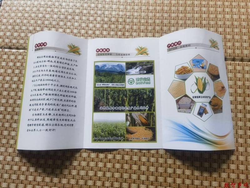 6493125530f2e55d81a39b7e47c74ed