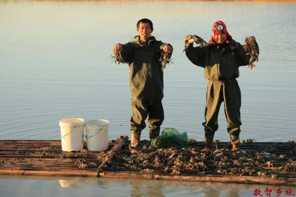 d5abd67e7df410f037f68e54c0731ef