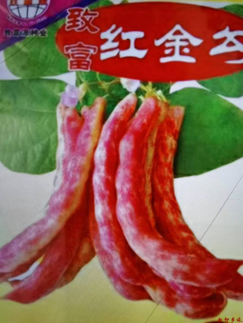 微信图片_20230824054932