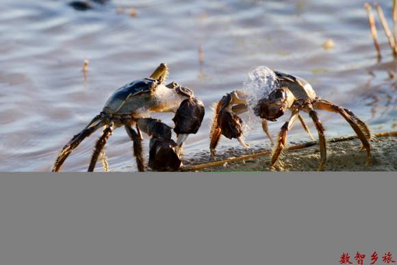 d6875aa0d6bbe6d87ca0a0a0b3cd094