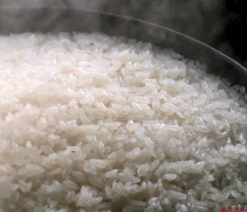 d2841c0a8f3a60ba415d3d8c9355318