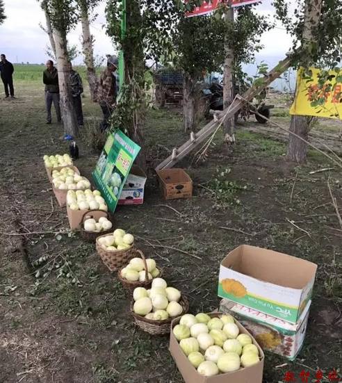 W020180329584289662476 (1)