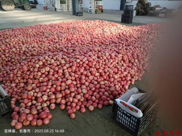 微信图片_20230823184146