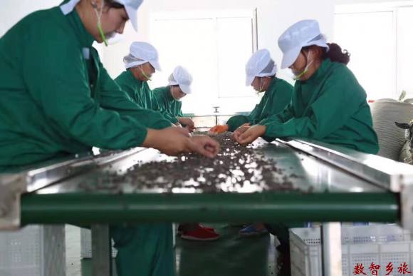 微信图片_20220509133733