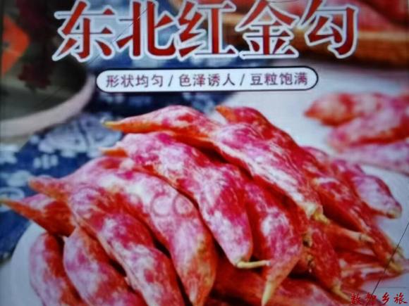 微信图片_20230824054751