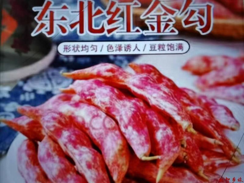 微信图片_20230824054751