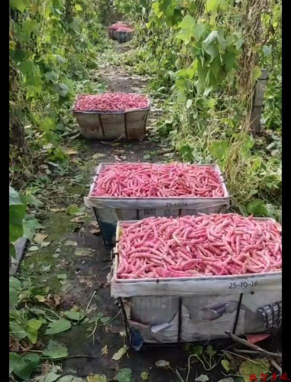 微信图片_20230823184237