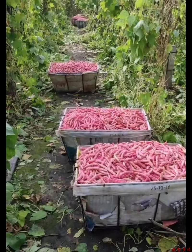 微信图片_20230823184237