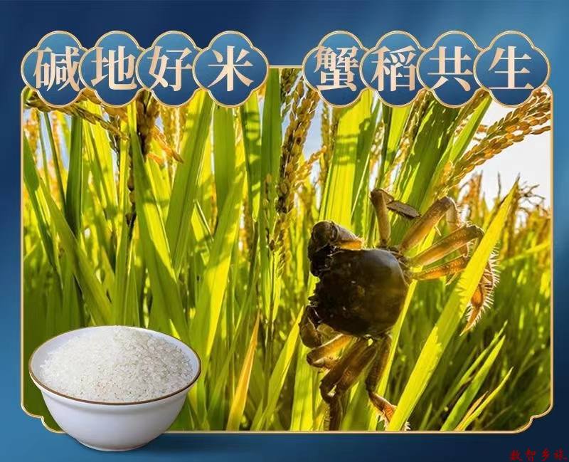 微信图片_20230905181917