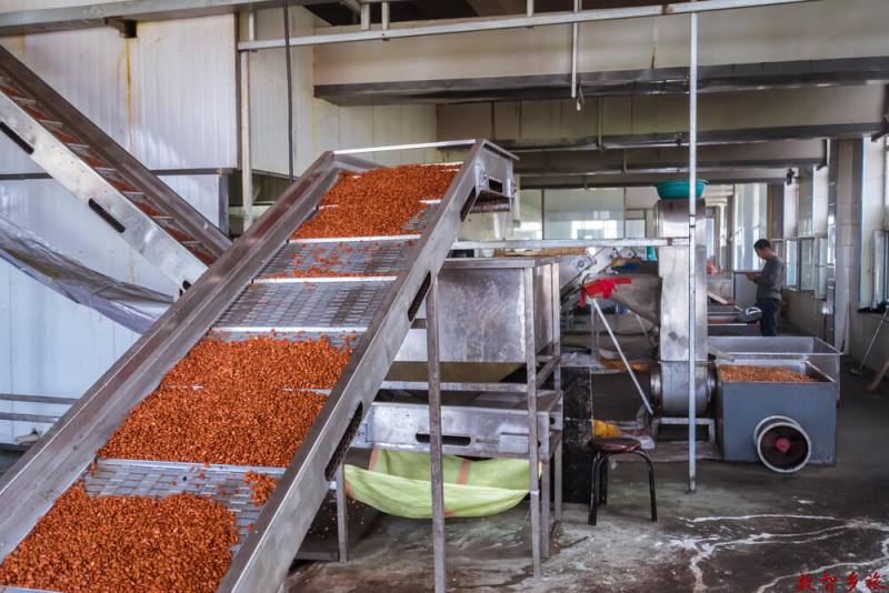 4ed2435c8e0d7ae7861eb97974d88c6