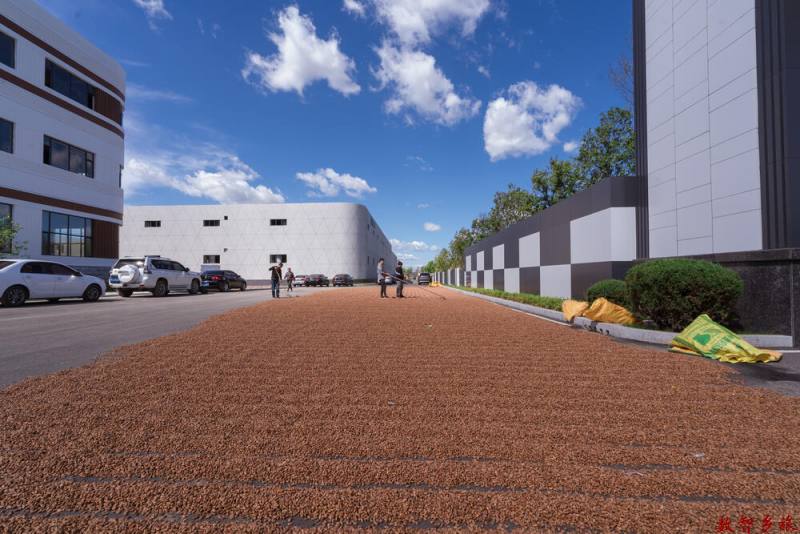 e61239bf657084b6ec76b024e3354cb