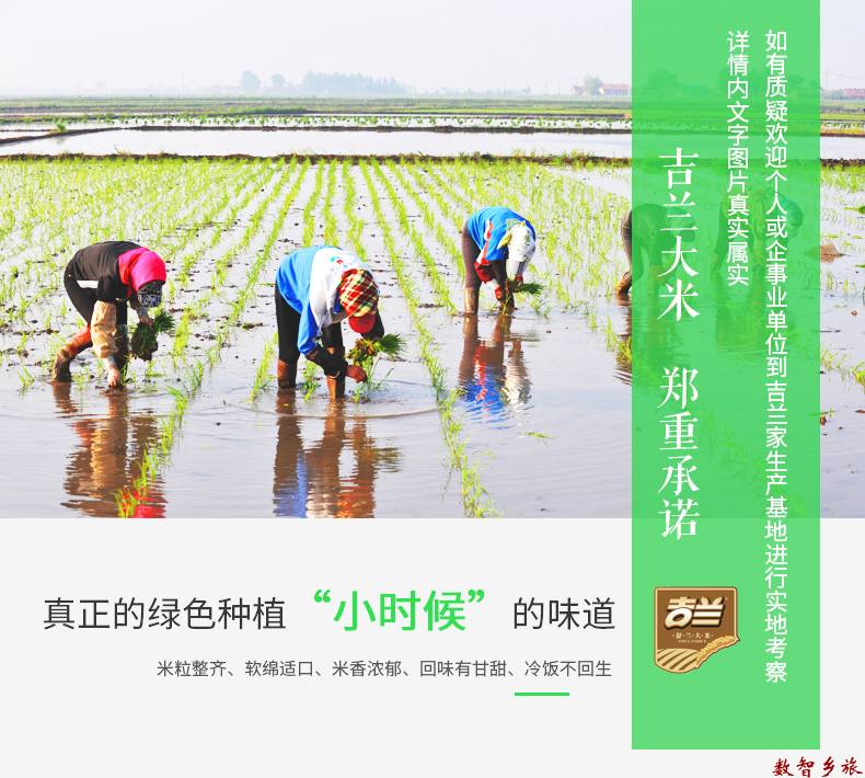 舒兰大米完整版详情_01