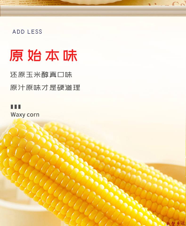 黄糯玉米_10-1