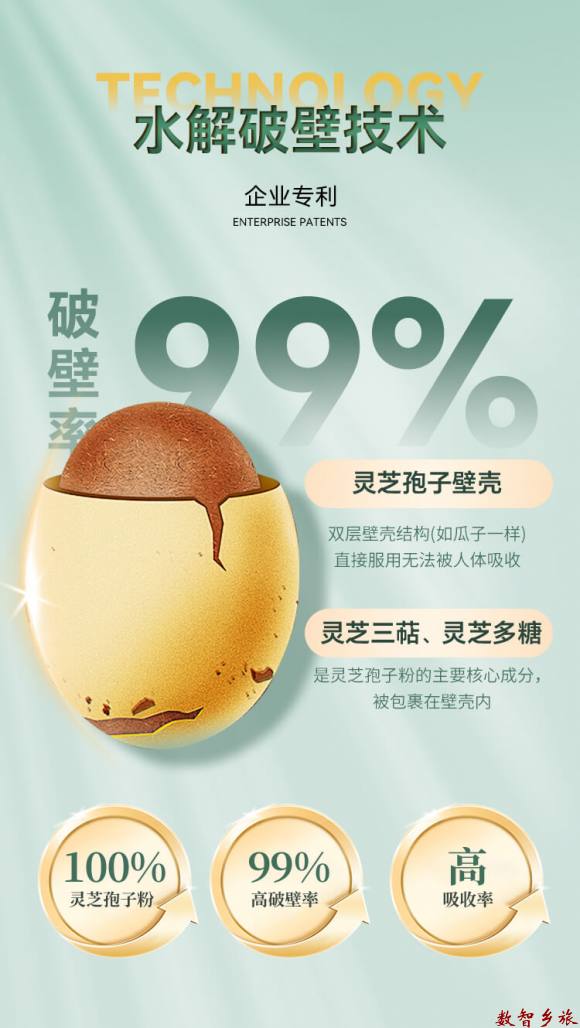 灵芝孢子粉详情页6