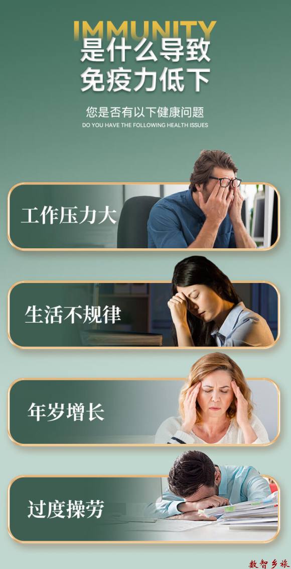 灵芝孢子粉详情页3