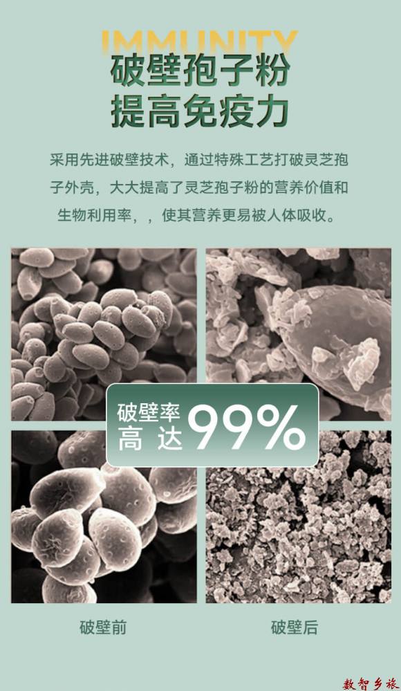 灵芝孢子粉详情页4