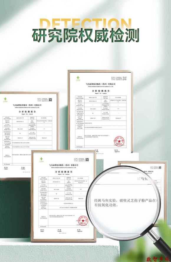 灵芝孢子粉详情页8